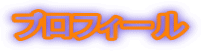 �v���t�B�[��